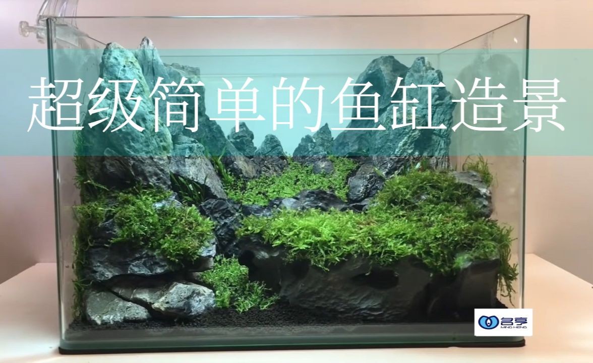 底濾魚缸造景的魅力探索水草造景的魅力探索水草造景的魅力：底濾魚缸可以造景嗎