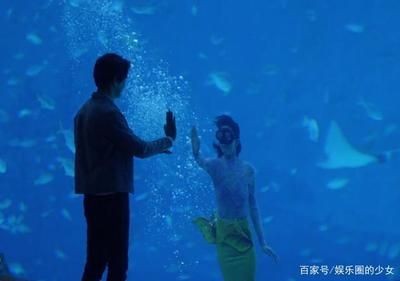 陳嶼魚缸：電視劇《三十而已》陳嶼魚缸風水布局技巧如何打造家庭觀賞魚缸