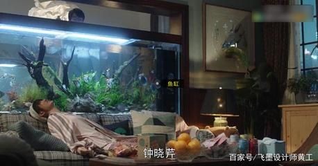陳嶼魚缸：電視劇《三十而已》陳嶼魚缸風水布局技巧如何打造家庭觀賞魚缸