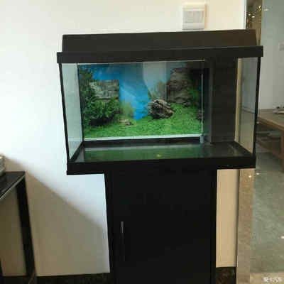 好點的魚缸都有哪些（2024年水族箱·魚缸十大品牌名單）