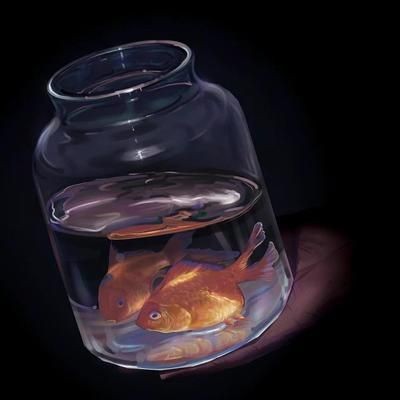 森森魚缸底部安裝視頻教程和魚缸擺放的位置有哪些事項，森森魚缸安裝視頻教程