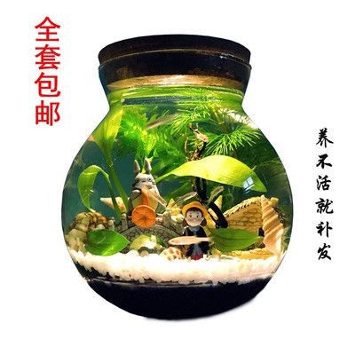 魚(yú)缸可不可以不換水（魚(yú)缸可不可以不換水取決于多種因素，取決于多種因素）