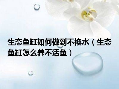 魚(yú)缸可不可以不換水（魚(yú)缸可不可以不換水取決于多種因素，取決于多種因素）
