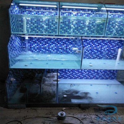 魚缸定制多少錢一平方（魚缸定制多少錢一平方大型魚缸每平方價格范圍大）