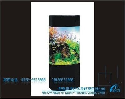 黑鉆魚(yú)缸改造（黑鉆魚(yú)缸如何改造）