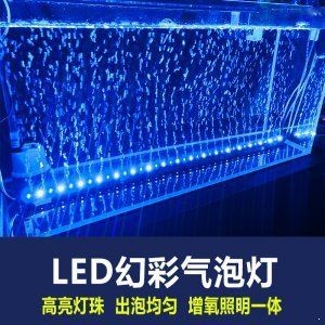 龍魚燈865好還是965好：龍魚燈865好還是965好965好
