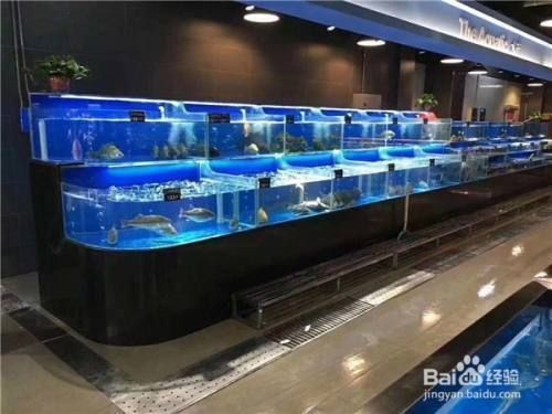 海鮮店魚缸泡沫多怎么處理（海鮮店魚缸泡沫多怎么辦）