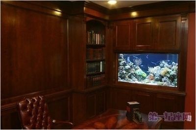 辦公室魚缸的風水布局：辦公室風水布局全解析