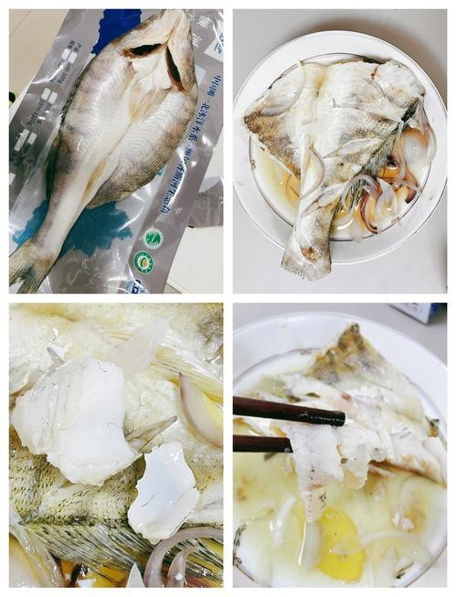 天山雪龍魚是海魚嗎圖片欣賞