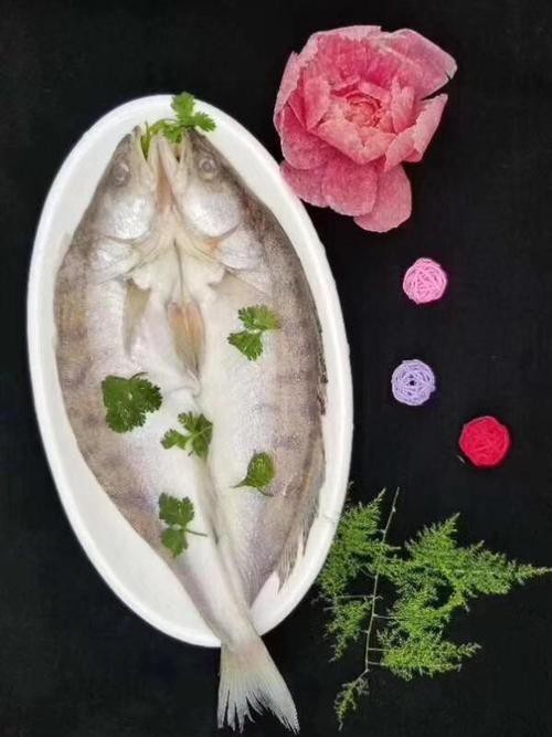 天山雪龍魚是海魚嗎圖片欣賞