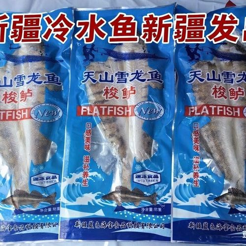 天山雪龍魚是海魚嗎圖片欣賞