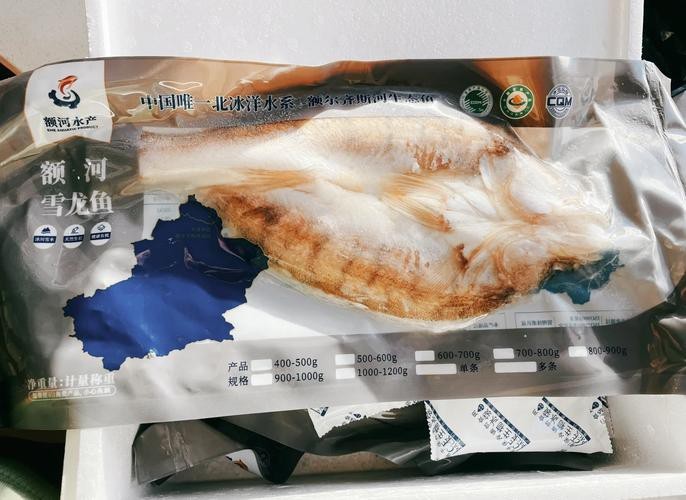 天山雪龍魚是海魚嗎圖片欣賞