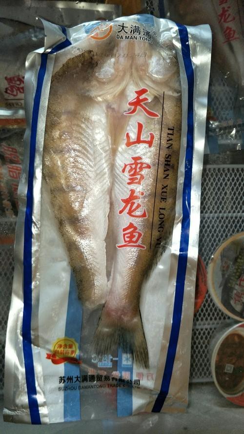 天山雪龍魚是海魚嗎圖片欣賞