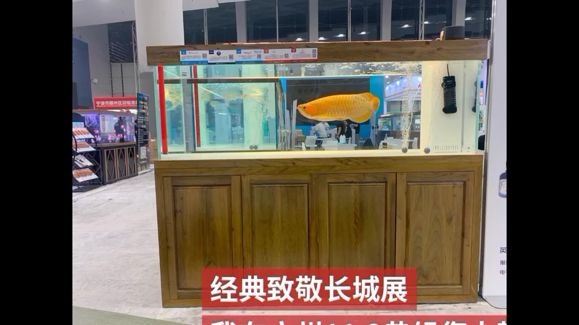 你會(huì)選擇什么樣的水族產(chǎn)品？ 你會(huì)選擇什么樣的水族產(chǎn)品？ 全國水族館企業(yè)名錄 第1張