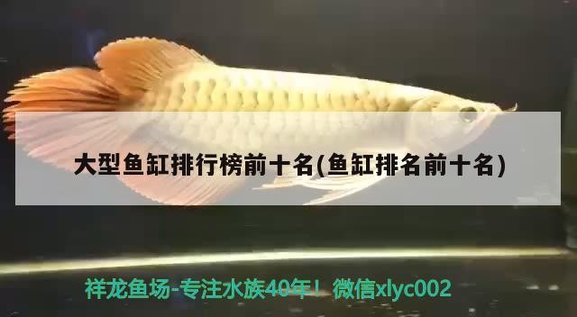 泰安市岱岳區(qū)粥店鳳江觀賞魚(yú)銷(xiāo)售中心