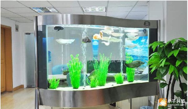 店鋪放魚缸風水講究：店鋪擺放魚缸的風水講究 店鋪放魚缸風水講究：店鋪擺放魚缸的風水講究 魚缸百科 第1張
