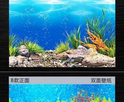 魚缸背景貼紙選擇魚缸背景貼紙時要考慮多個因素：如何選擇適合的魚缸背景貼紙