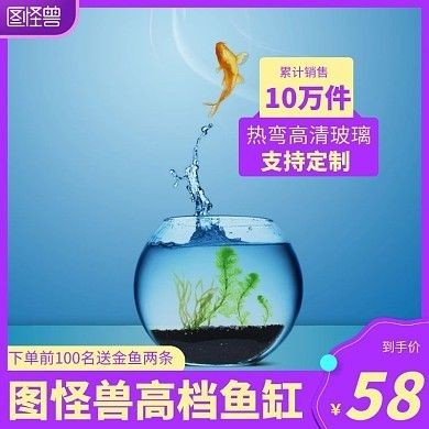 高級魚缸：高級魚缸的設(shè)計(jì)、材料選擇和制作過程