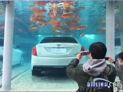 高級魚缸：高級魚缸的設計、材料選擇和制作過程