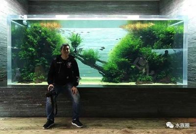 給魚缸造景叫什么職業(yè)（探索水族造景的世界大賽水族造景師或生態(tài)造景師或生態(tài)造景師）