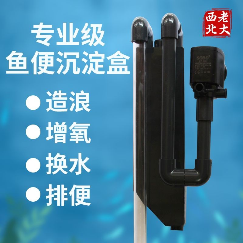 底濾魚缸糞便收集方法：如何收集底濾魚缸糞便