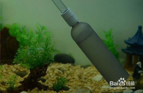 三河市張海蘭水族館（三河市張海蘭水族館地址）