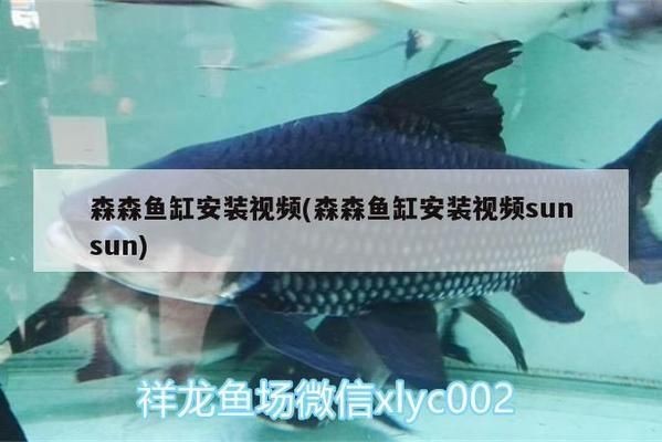 森森魚缸安裝視頻教程h2t