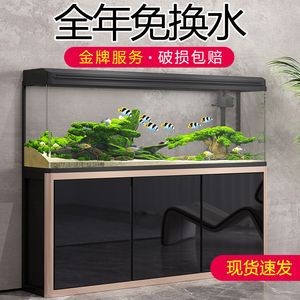 落地魚缸好還是柜式魚缸：落地魚缸與柜式魚缸各有優勢