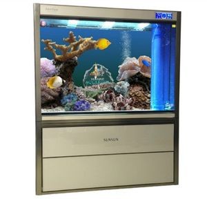 高檔魚缸的設計美學：高檔魚缸價格因材質、尺寸、功能等因素有所不同