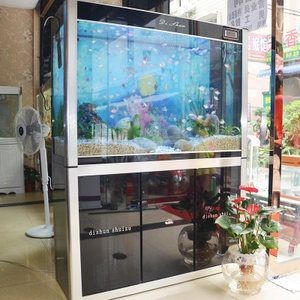高檔魚缸的設計美學：高檔魚缸價格因材質、尺寸、功能等因素有所不同