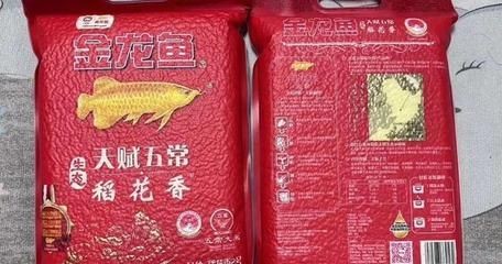 金龍魚的尺寸測量方法:金龍魚尺寸怎么量圖解金龍魚尺寸測量方法