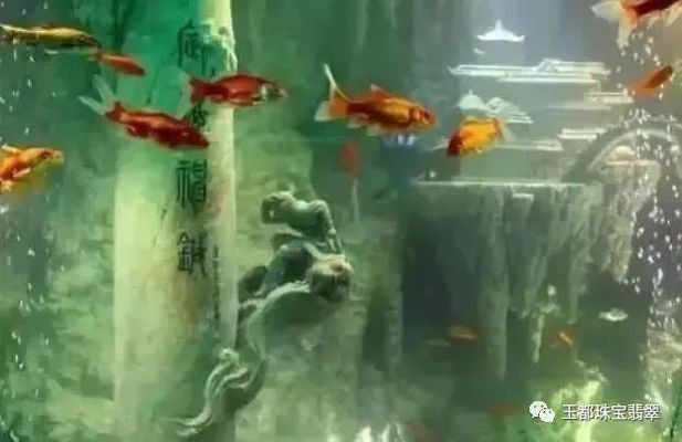 寧國市森森水族館（寧國市森森水族館電話）