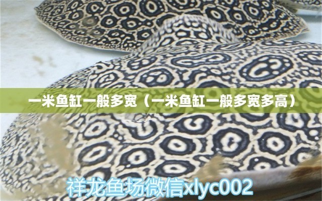 南京市秦淮區佩斯寵物用品店（南京市秦淮區佩斯寵物用品店地址）