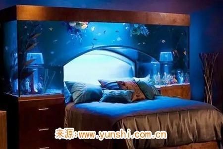床頭魚缸有什么說法嗎（床頭柜上放置魚缸不適合放在客廳、書房等風水學的位置）