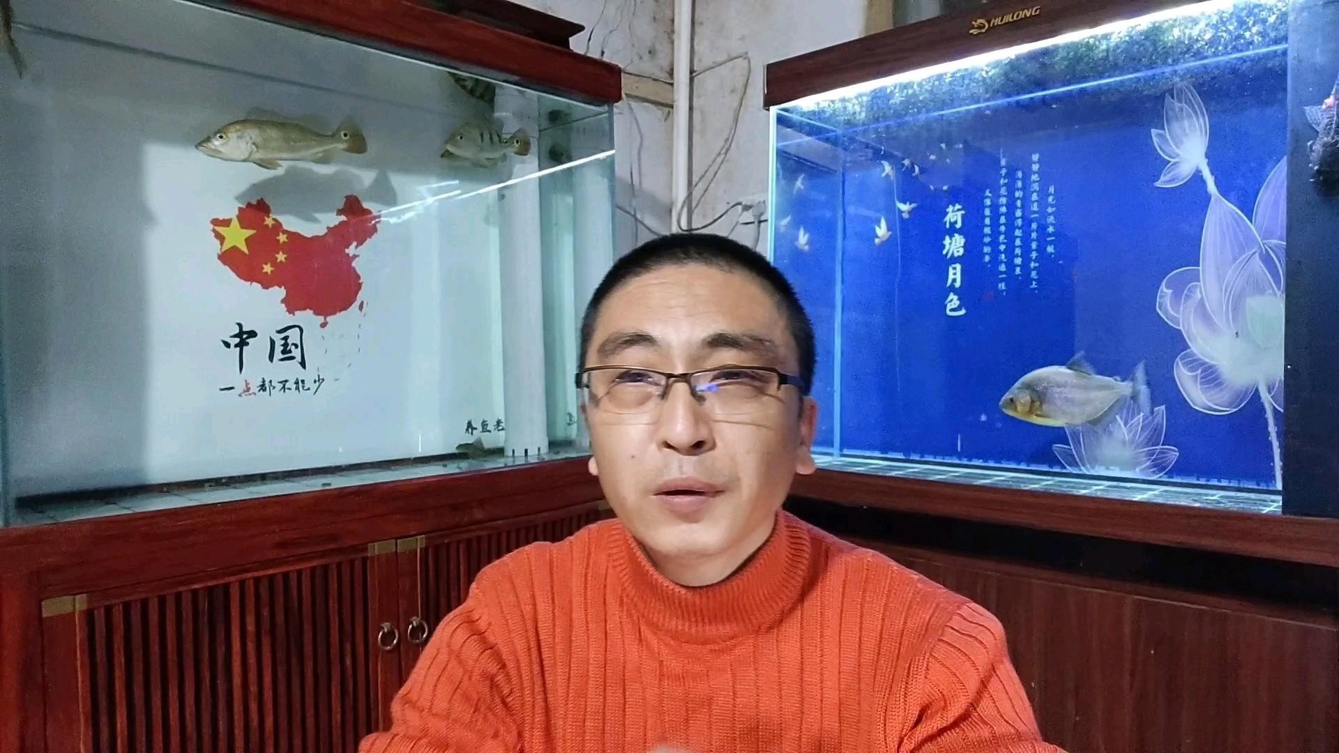 龍魚趴缸底