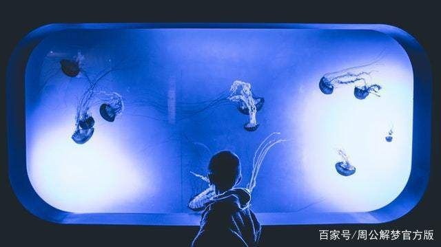 如何區分紅眼白子招財龍魚的亞種，如何區分紅眼白子招財龍魚的亞種？