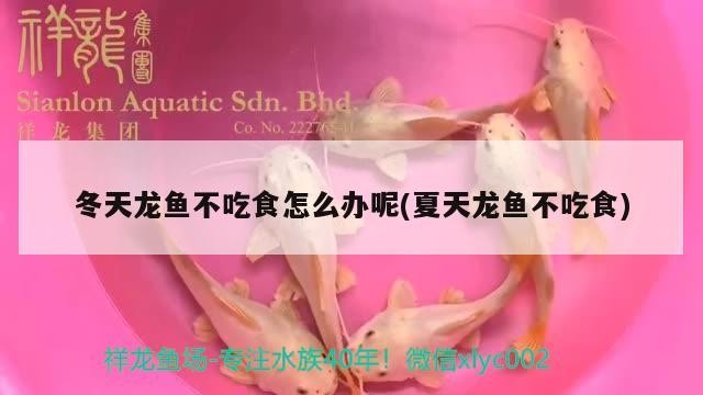 沁源縣沁河鎮海軍魚缸店