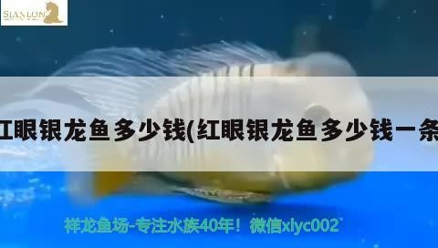 沁源縣沁河鎮海軍魚缸店