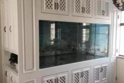 魚缸過濾材料的擺放：底濾魚缸的過濾材料擺放步驟和注意事項和注意事項