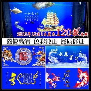 龍魚缸最佳背景顏色選擇指南（如何選擇龍魚缸的背景顏色）