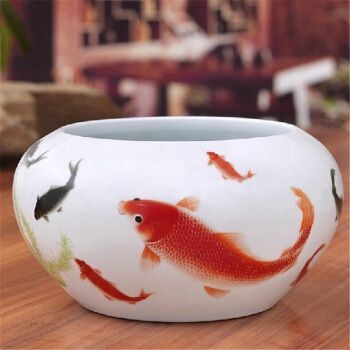 淘瓷魚缸圖片：淘瓷魚缸在家居裝修中的應用