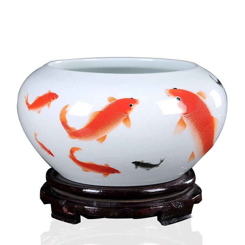 淘瓷魚缸圖片：淘瓷魚缸在家居裝修中的應用
