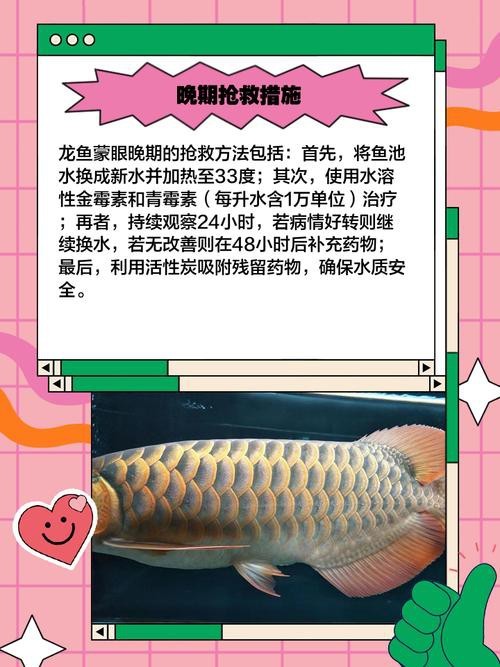 金龍魚蒙眼最好治療方法圖片