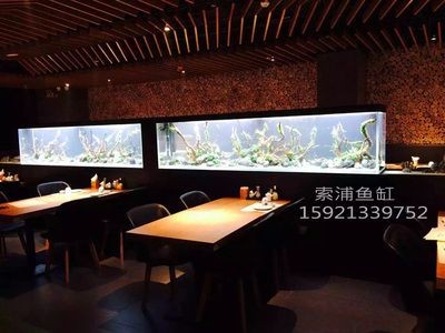 生態(tài)魚缸的設計原理：個性化生態(tài)魚缸的維護與管理生態(tài)魚缸的維護與管理
