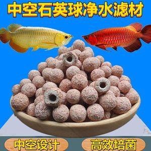 底濾魚缸設計原理：底濾魚缸生態系統的維護與管理水族箱生態系統的維護