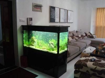 后院放魚缸風水布局詳解：后院放置魚缸的風水布局詳解