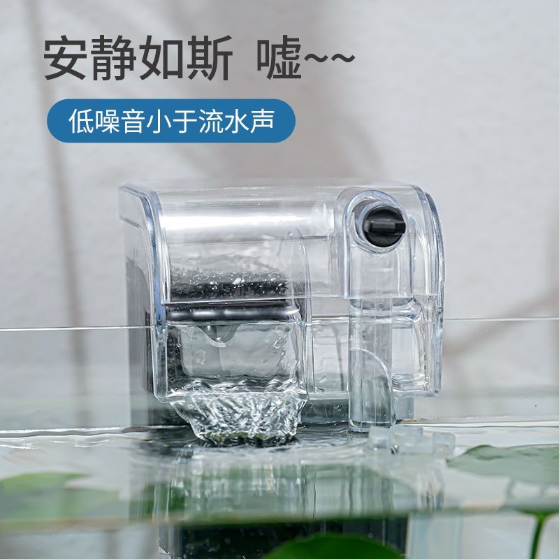 底過濾魚缸與上濾魚缸的區別：家庭養魚的風水講究