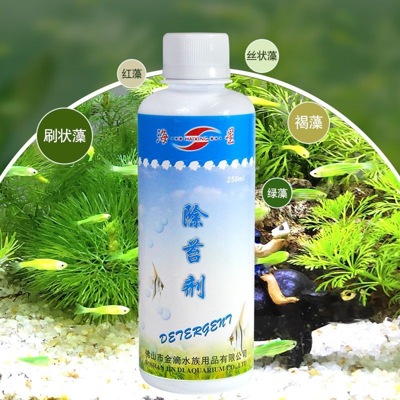 海星生態魚缸的養護秘籍：海星生態魚缸怎么樣