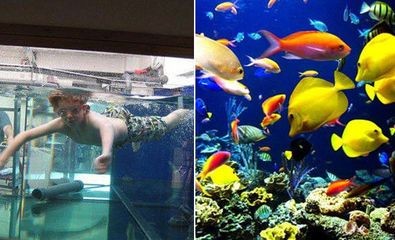生態魚缸的造價標準：海洋生態魚缸的造價標準