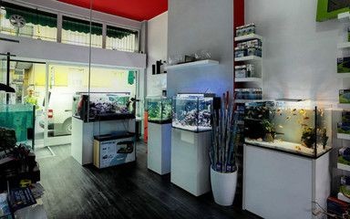 蘇州工業園區佳家水族館常年出售生態魚缸安全閥門：海安市售賣魚缸的具體店鋪名稱